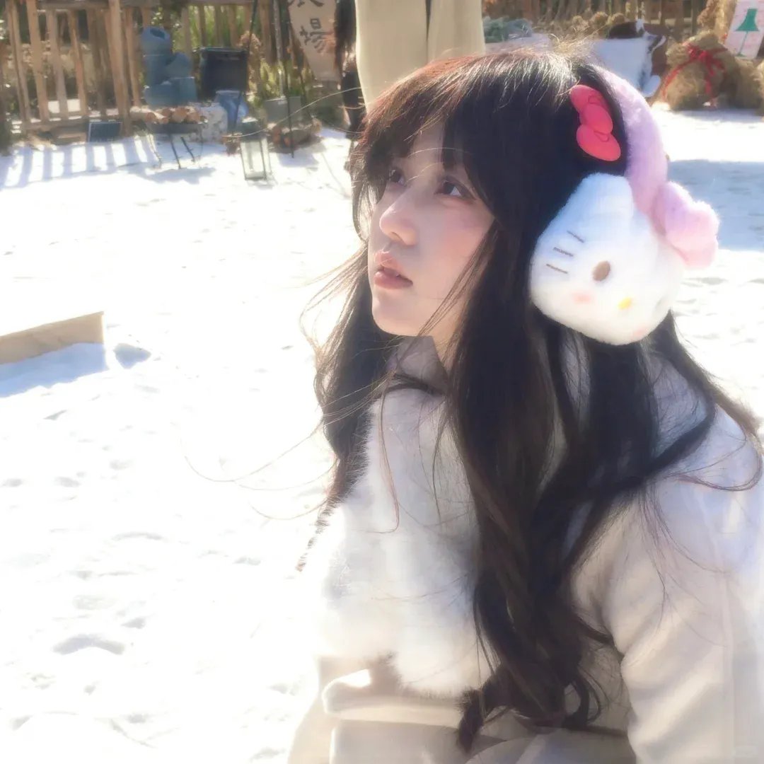 少帅的终极追妻攻略